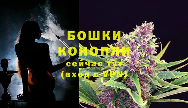 дурь Заволжск