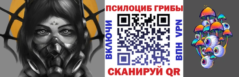 наркота  Иланский  Галлюциногенные грибы мицелий 